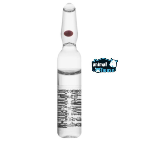 COENZYME Ampolla X Ud