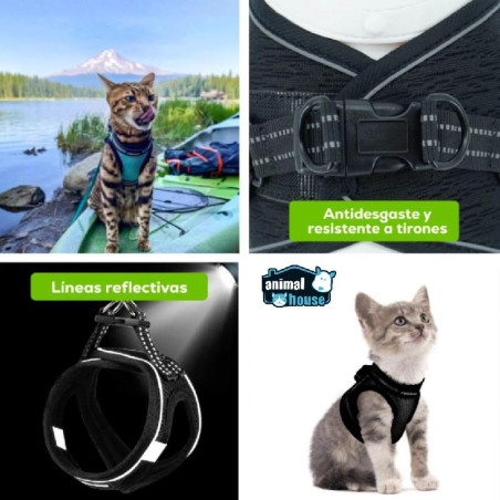 ARNES CHALECO RABBITGOO T M