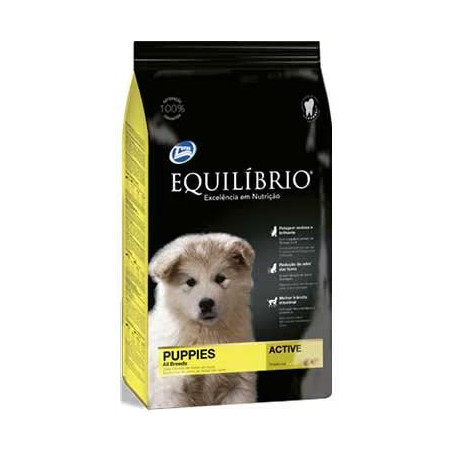EQUILIBRIO CACHORRO  X 2 KG