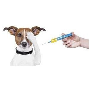 VACUNA NOBIVAC RABIA X 1 Dosis