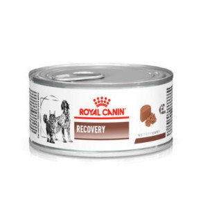 ROYAL CANIN LATA RECOVERY WET 0.145
