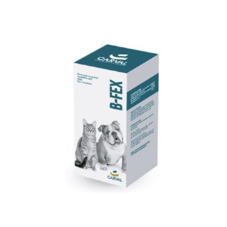B-FEX SUSPENSION ORAL  X 60 ML