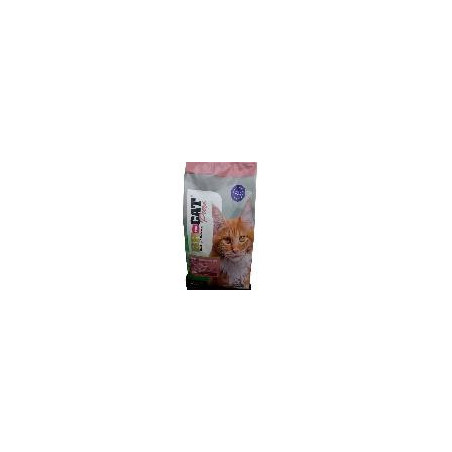 BR FOR CAT ADULTO SALMON X 1 kg