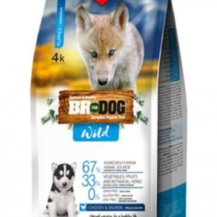 BR FOR DOG WILD PUPPY POLLOSALMON X2 KG