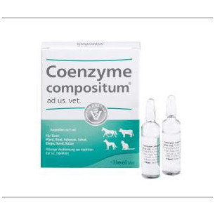 COENZYME Ampolla X Ud