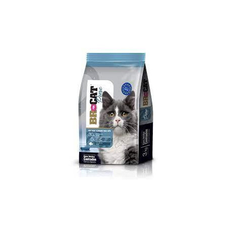 BR FOR CAT CASTRADO SALMON X 10 kg