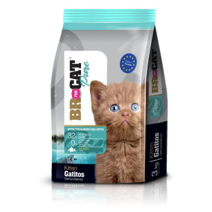 BR FOR CAT GATITOS SALMON X3 Kg