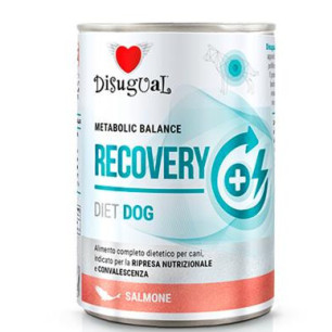 DISUGUAL DOG LATA RECOVERY SALMO X 400g 