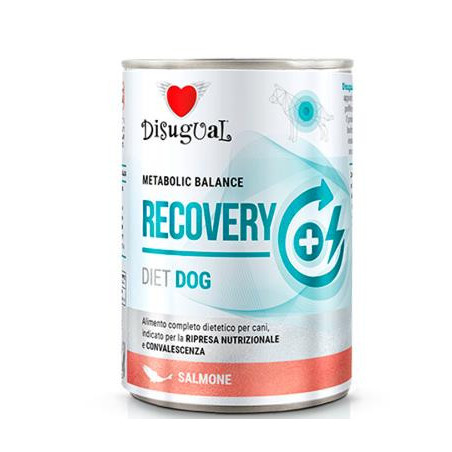 DISUGUAL DOG LATA RECOVERY SALMO X 400g 